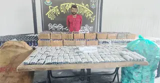 সাতক্ষীরায় র‌্যাবের অভিযানে বিপুল মাদক উদ্ধার, আটক ১